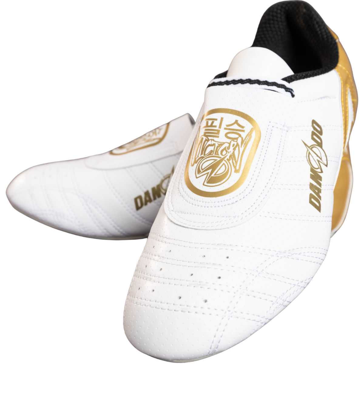 Dando Victory High-Performance Shoes