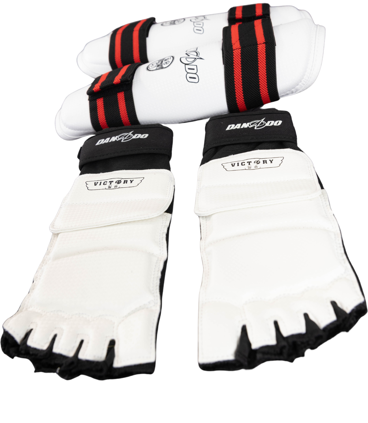 Dando Shin Guard + Foot Protector Set