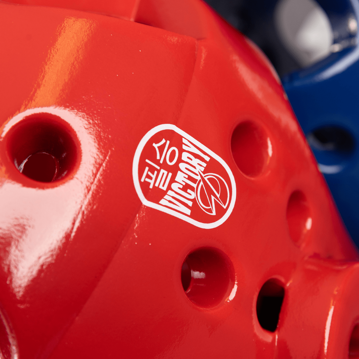 Dando Victory Head Protector