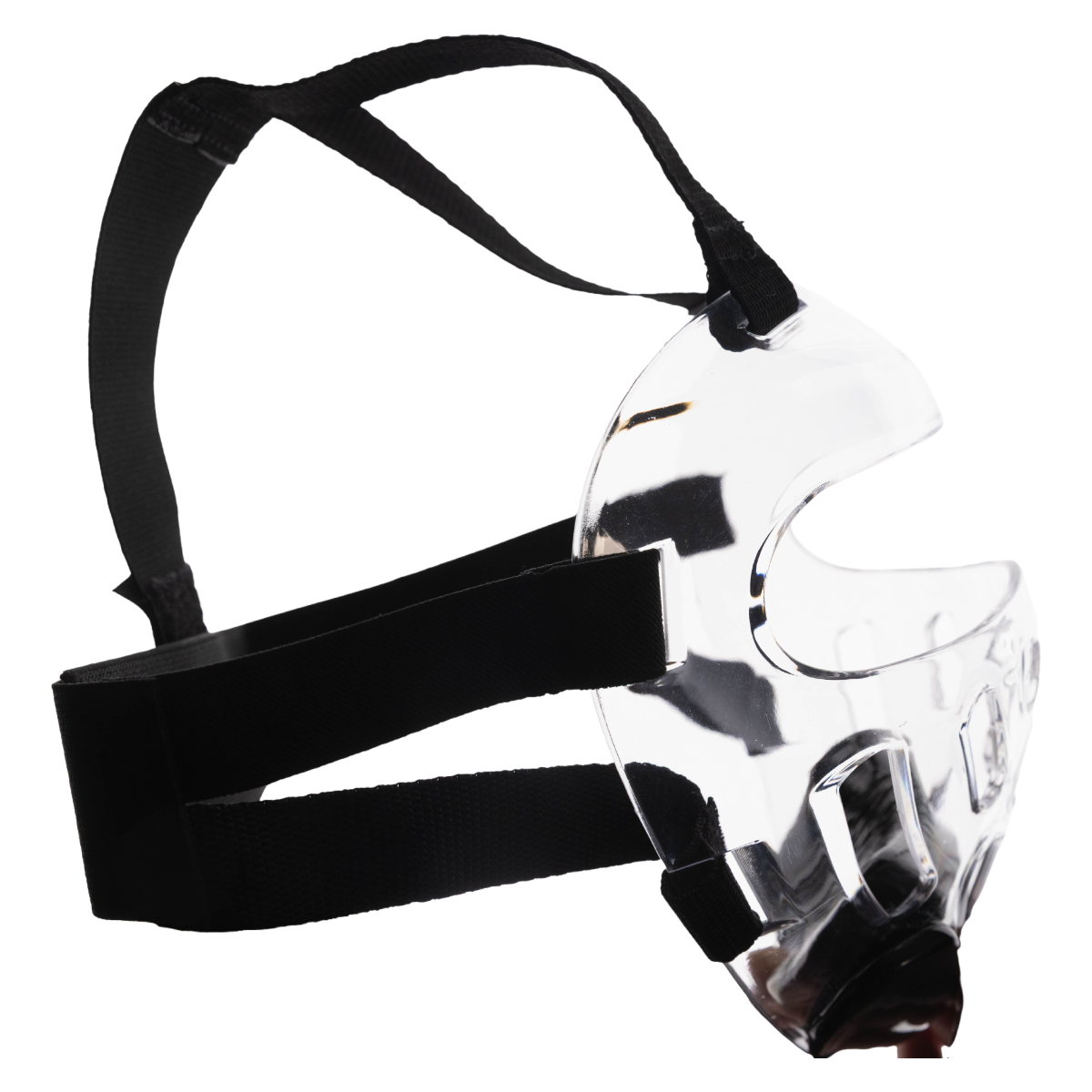 Pullover Clear Face Protector