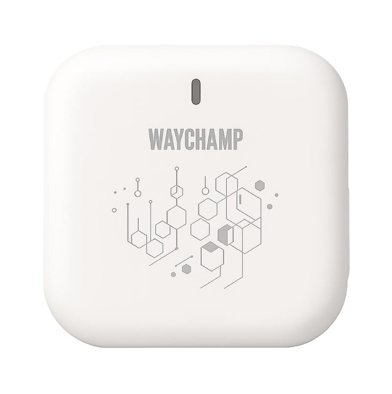 Waychamp Bluetooth Receiver