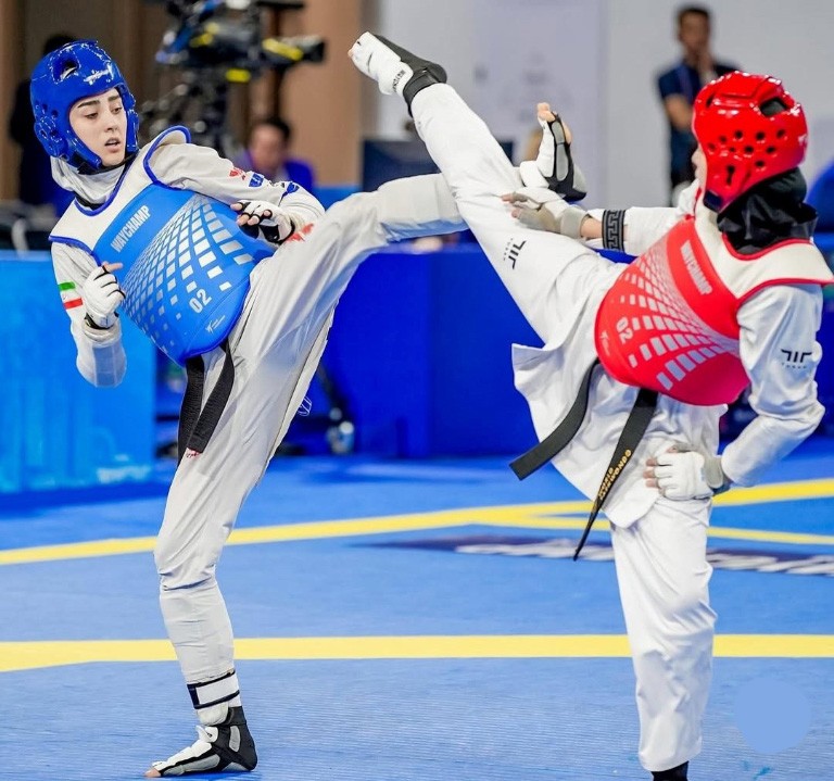 Waychamp Pro E-Chest Protector