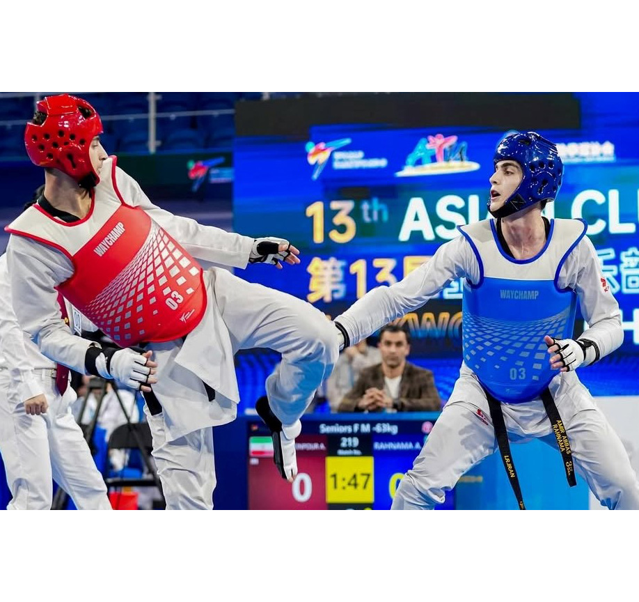 Waychamp Pro E-Head Protector